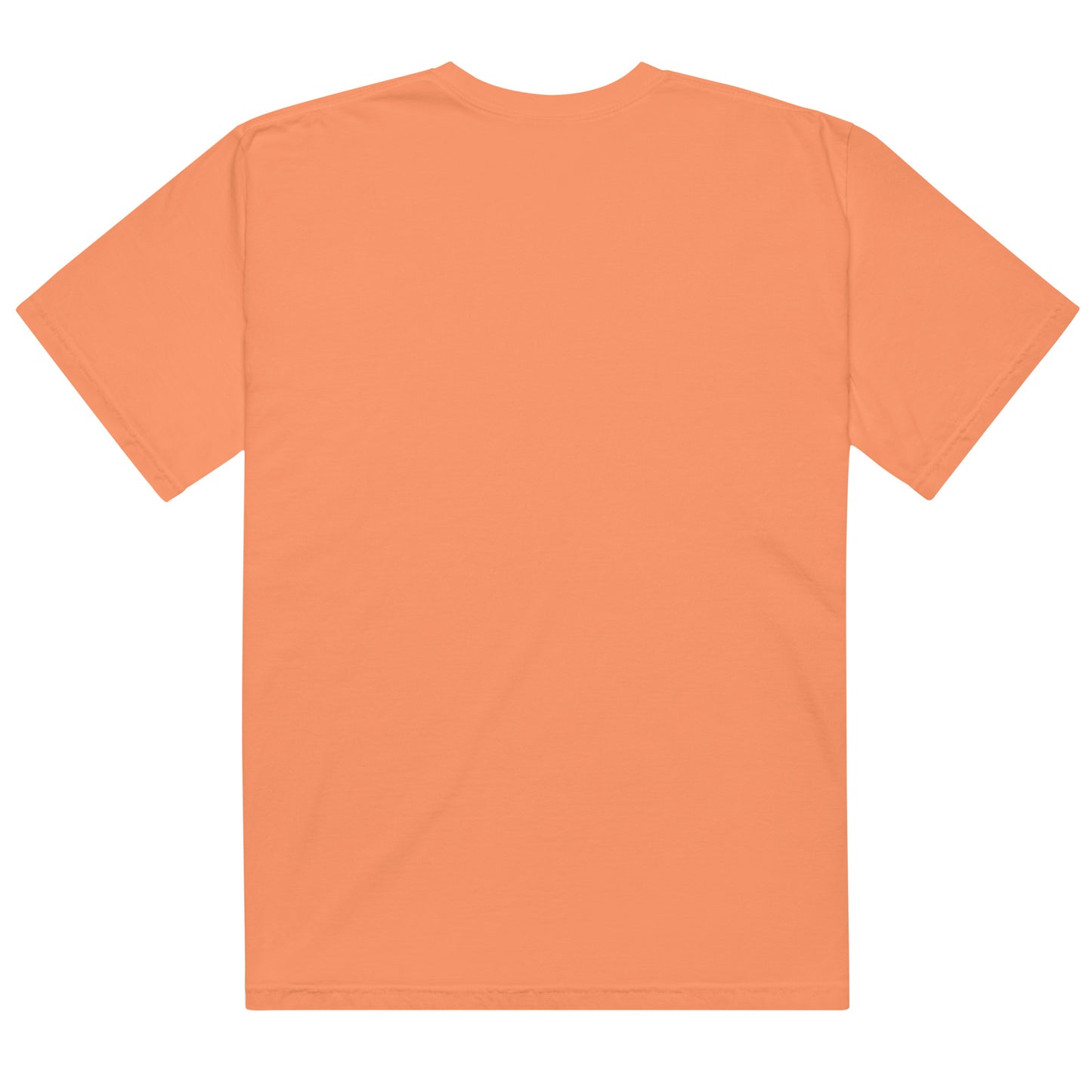 Unisex New Money T-Shirt
